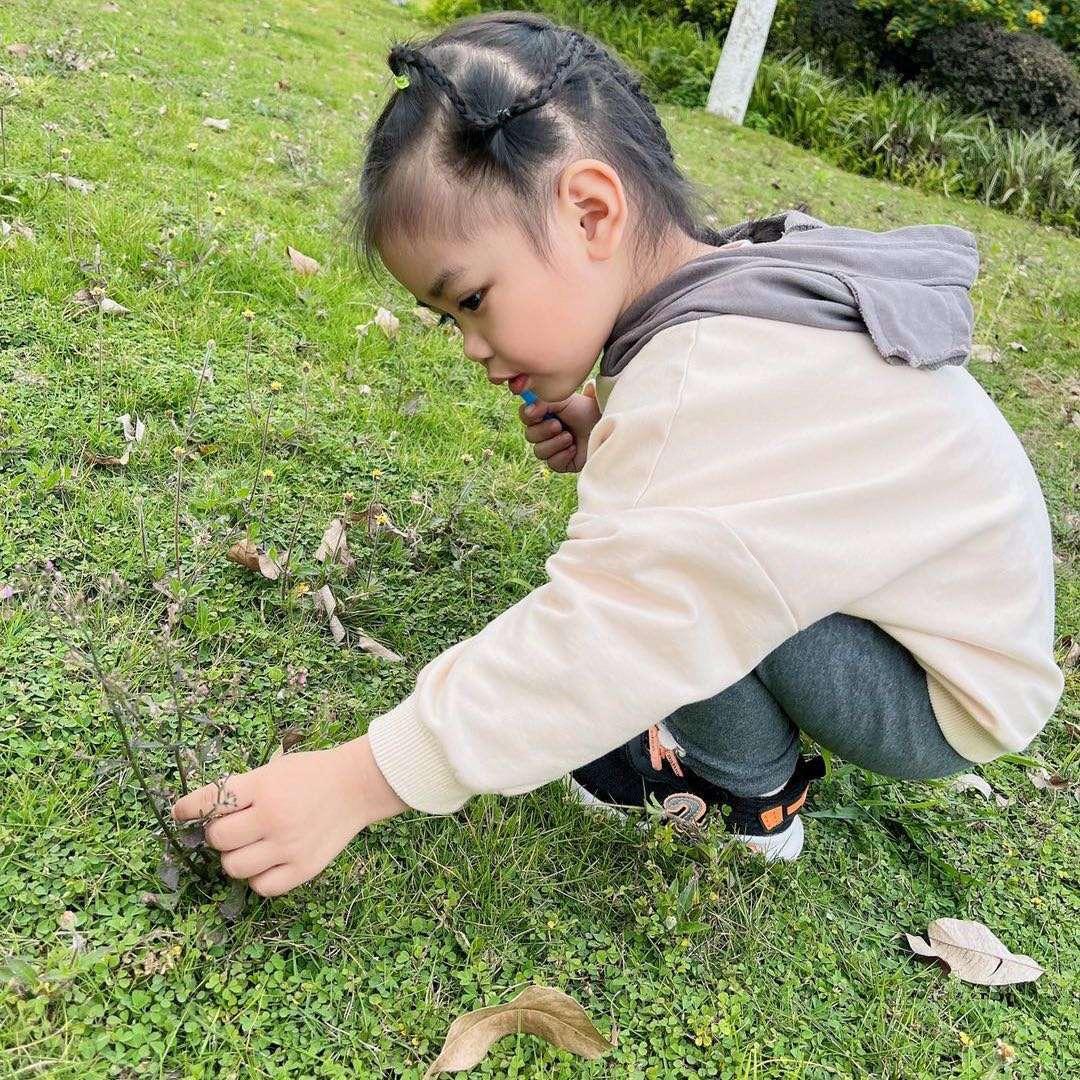 柠檬不酸
