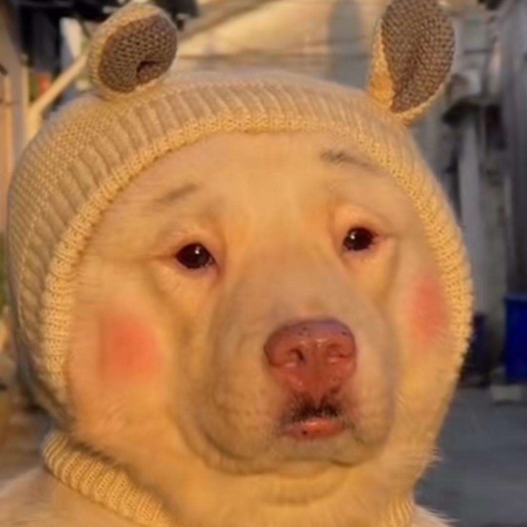 汐渐云