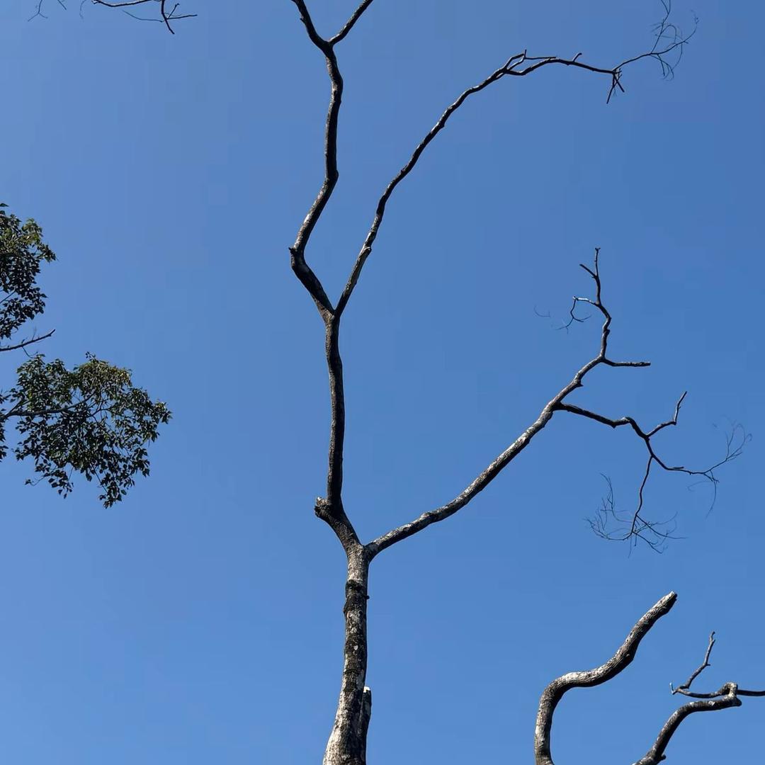 🌈🌈随便玩玩
