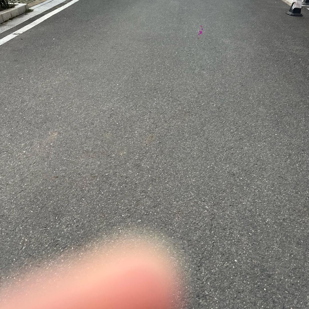 偏爱