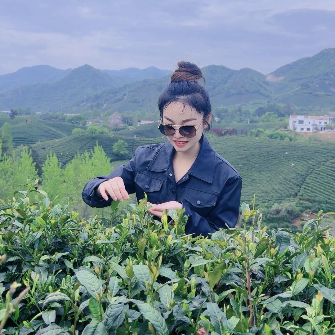 苏有茶