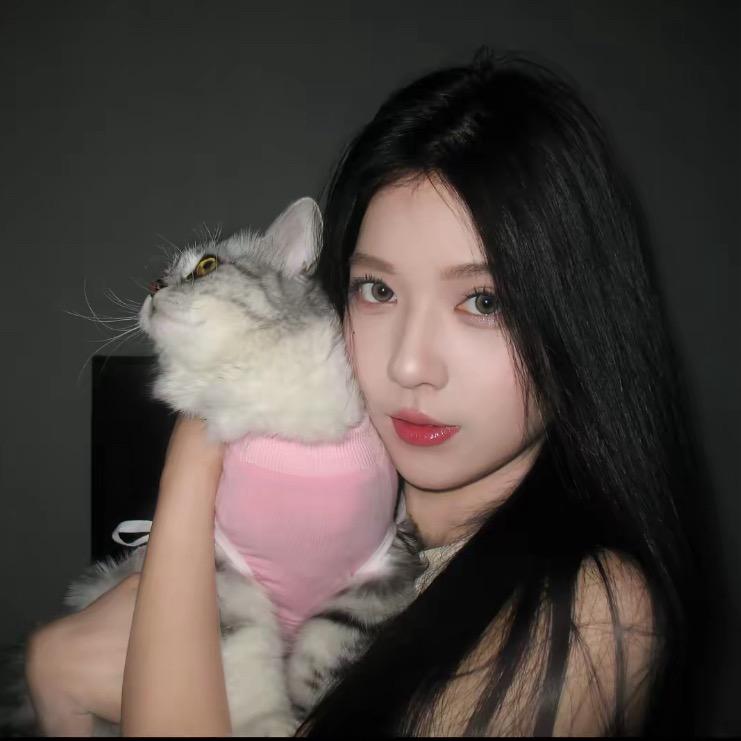 小黄-
