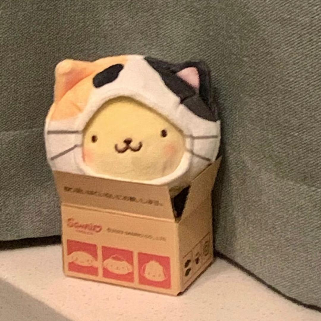 𝓨