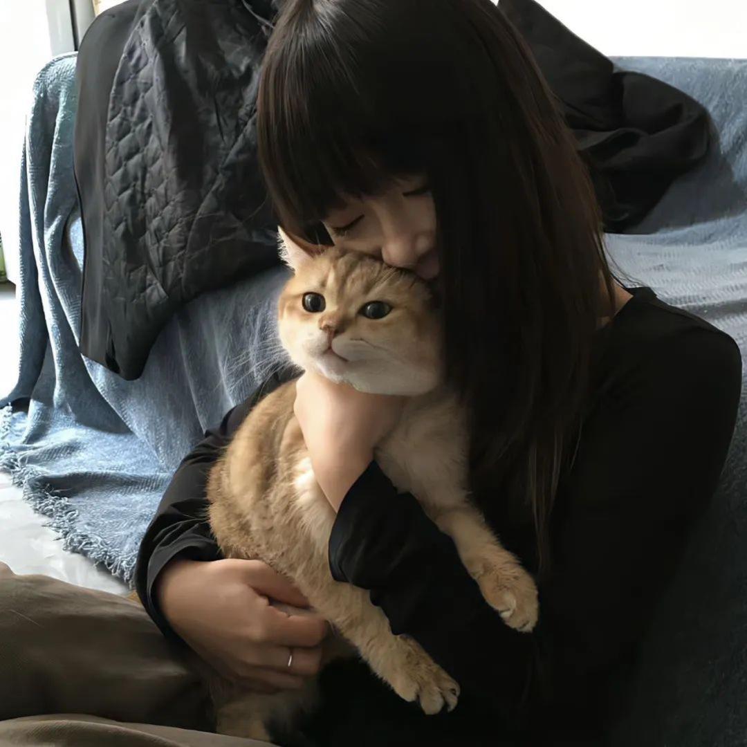 那片橙子海