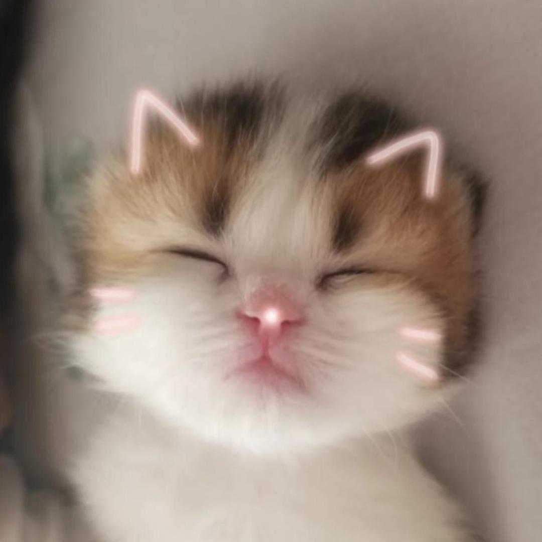 差不多得了吧