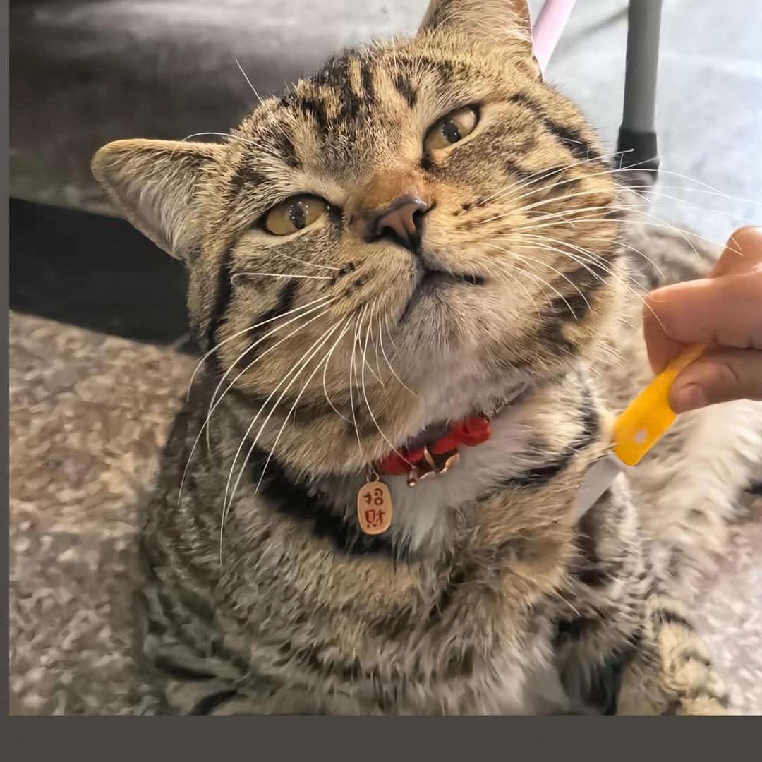 好事🥜花生