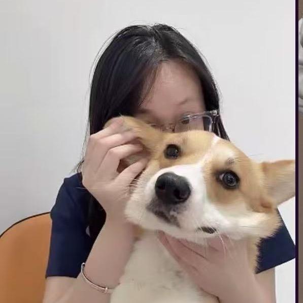 柯基来福的life