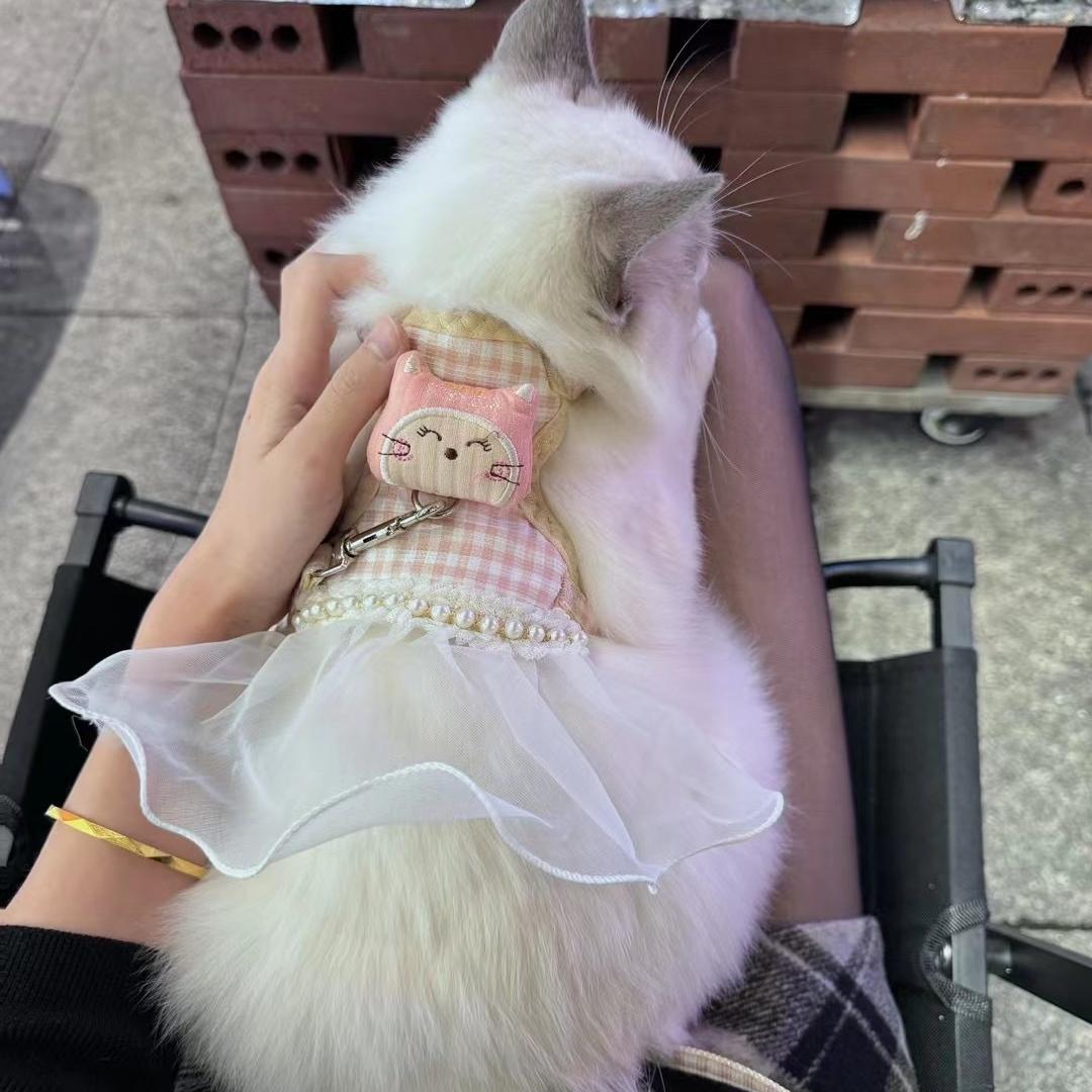 萌新