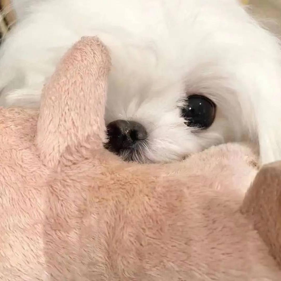 不溺