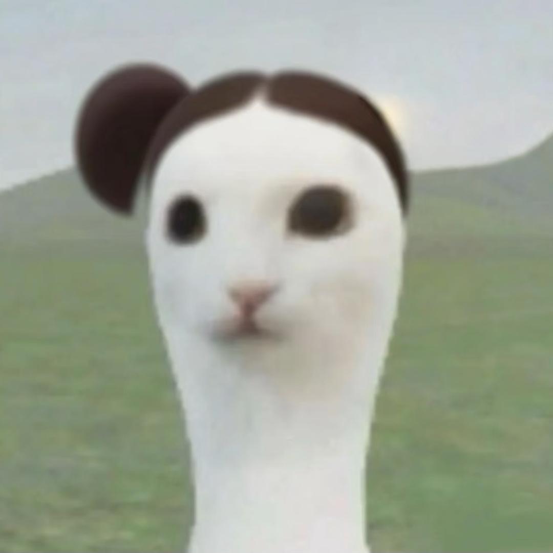 dd.