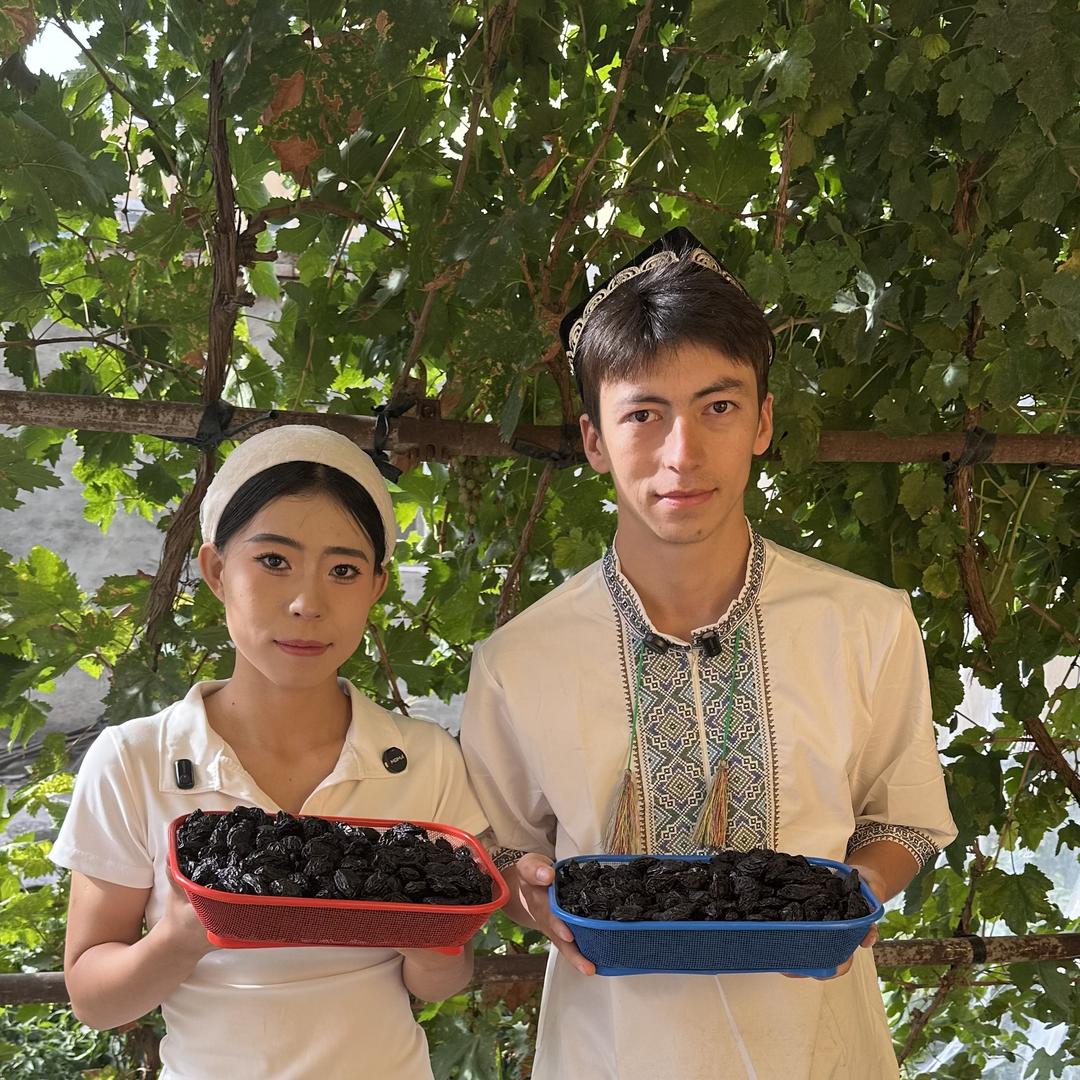 新疆小胡杨四号供应链