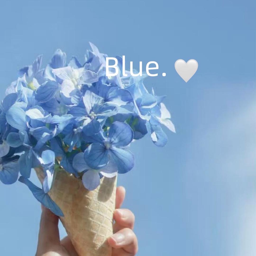 Blue🤍