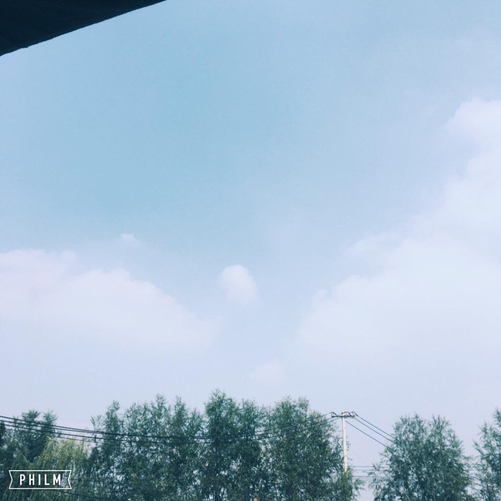 花海