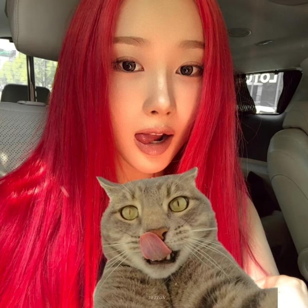 Obesekitten