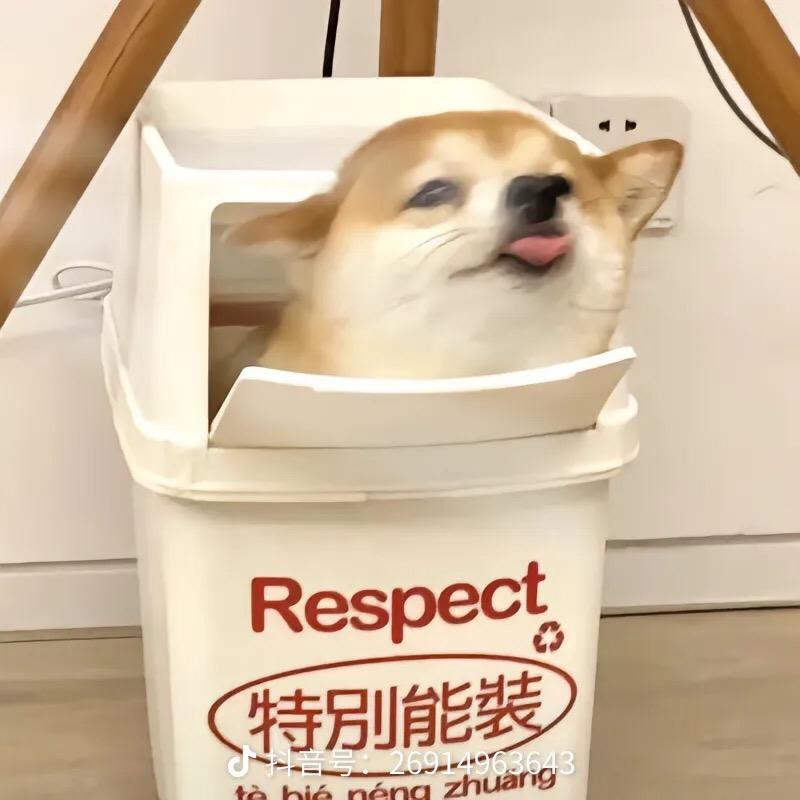 我真服啦