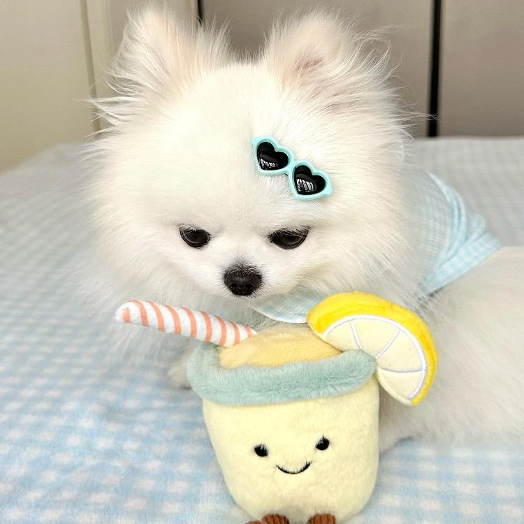 可乐（买🐶🐱私聊）