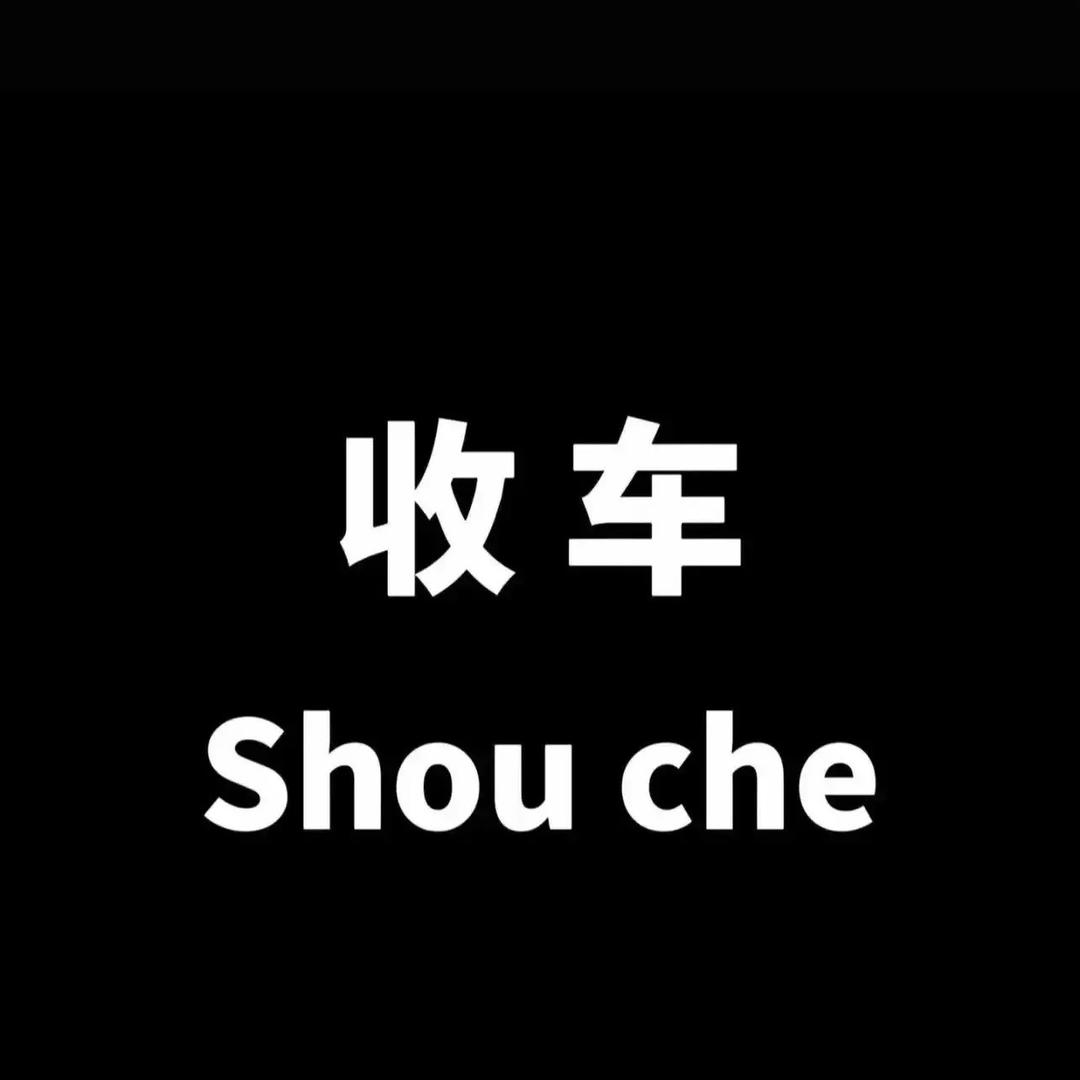 小于二手新能源汽车（面包车货车)