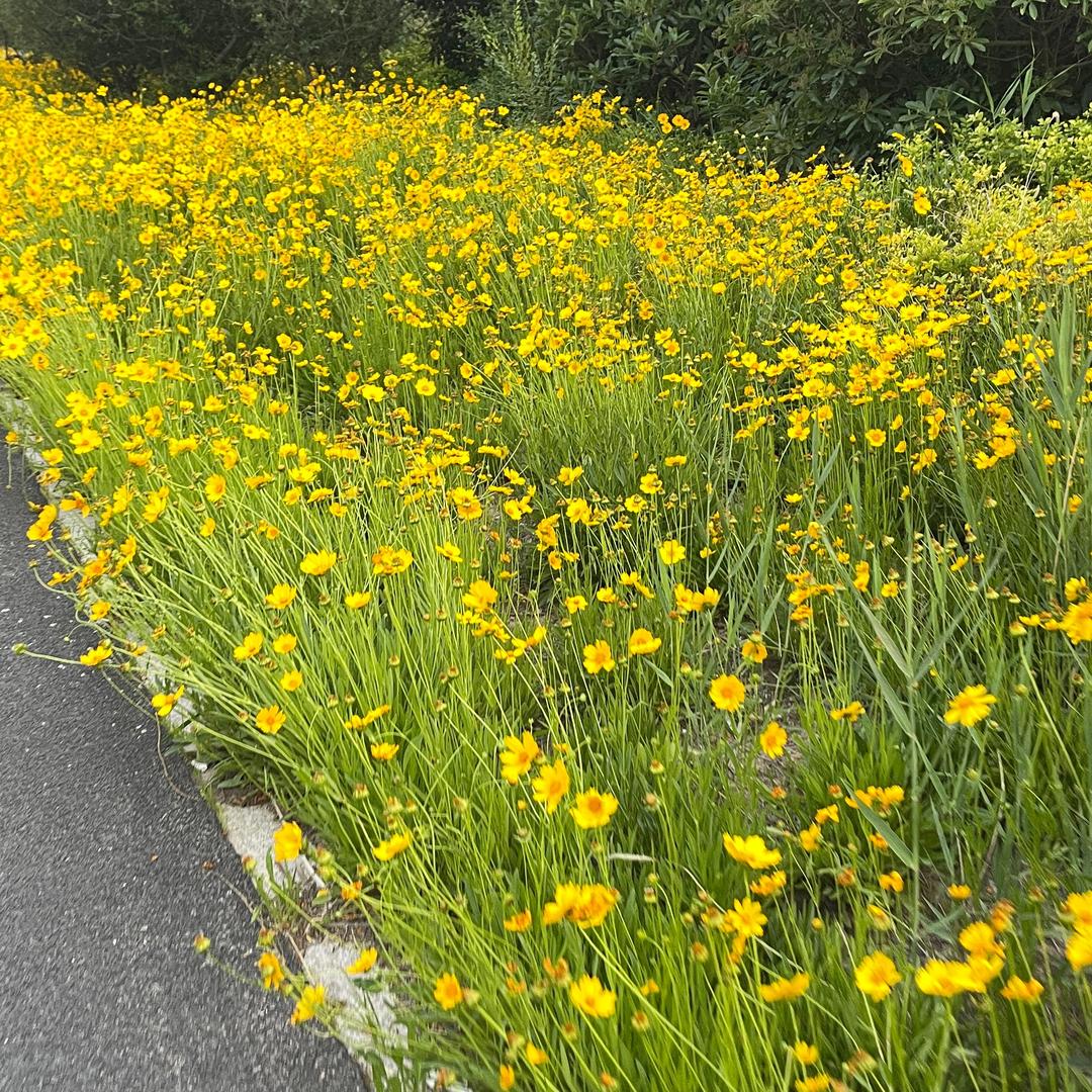 专业收售二手设备