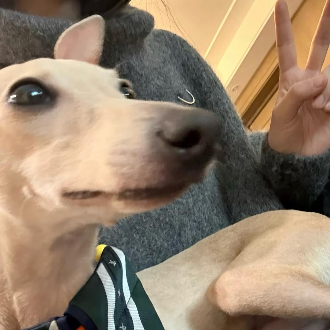 %