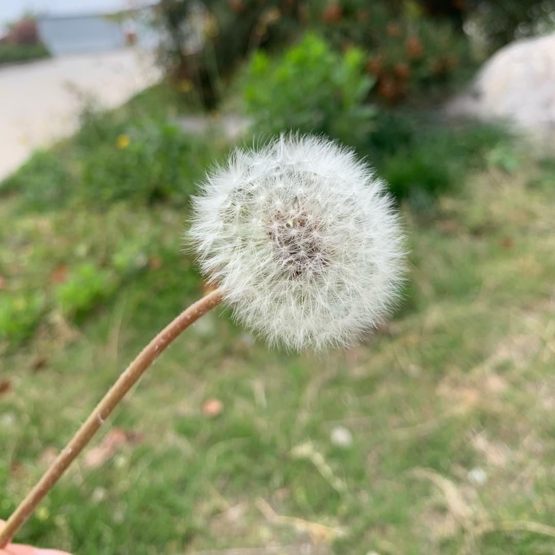 起名太费劲