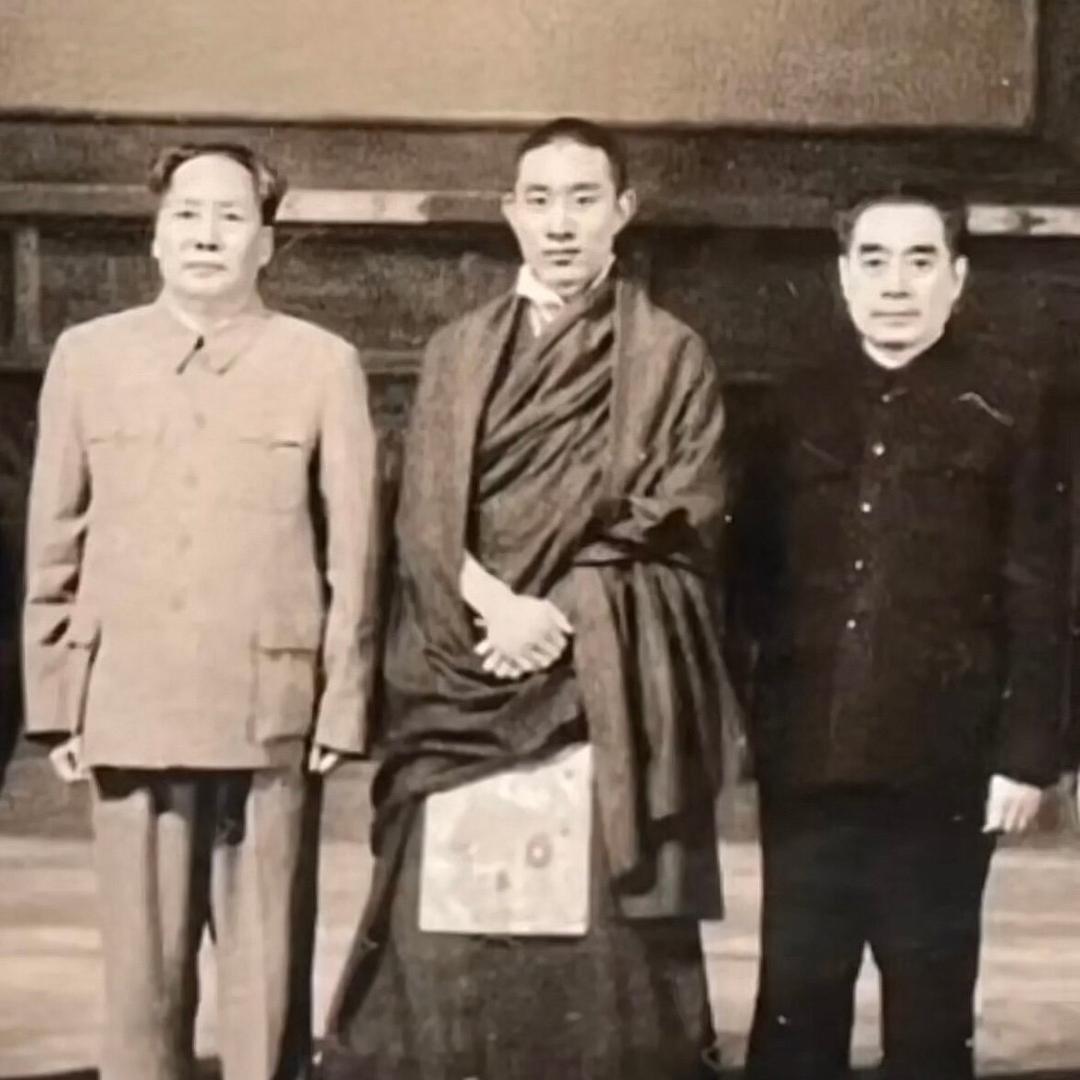 甲木参天
