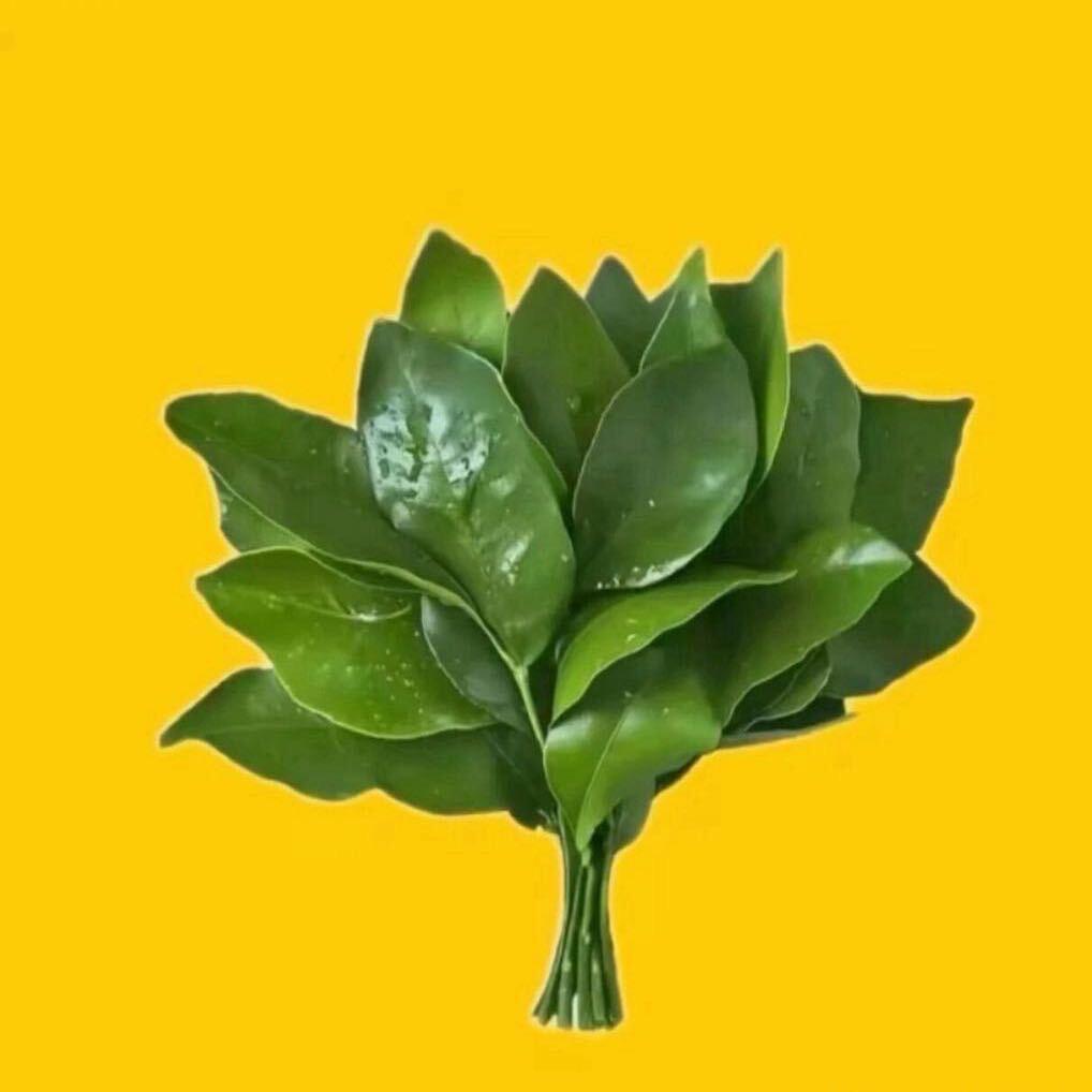 王德否🐯