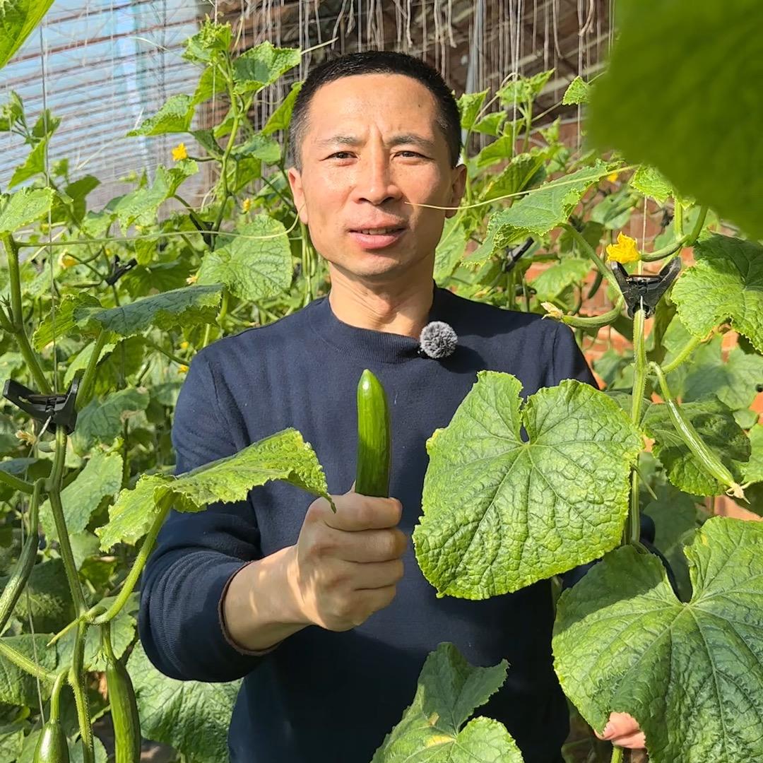 沙家帮农产品-老沙同志
