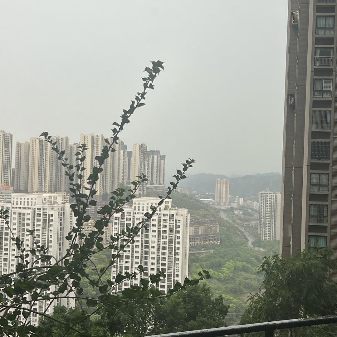 晨光