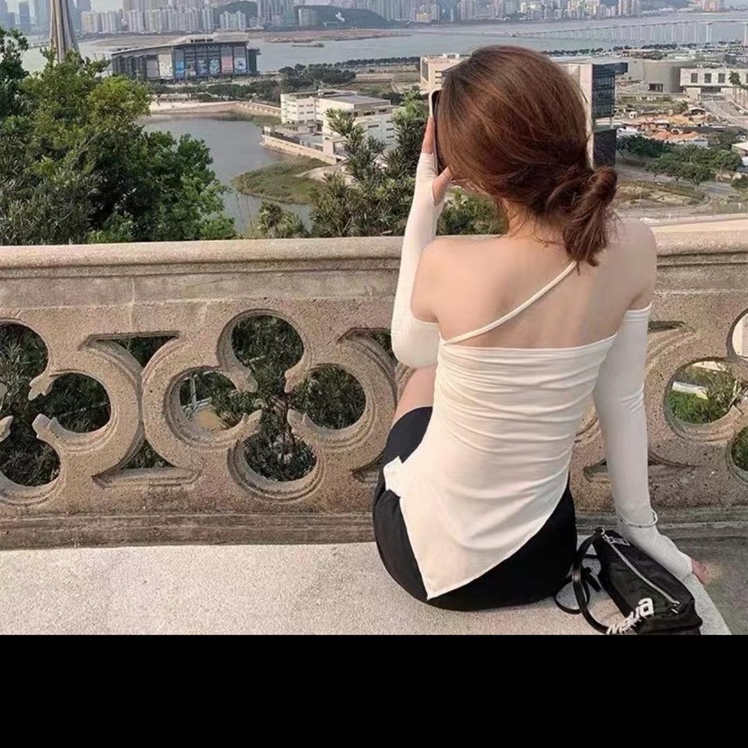 刺猬的优雅❤️