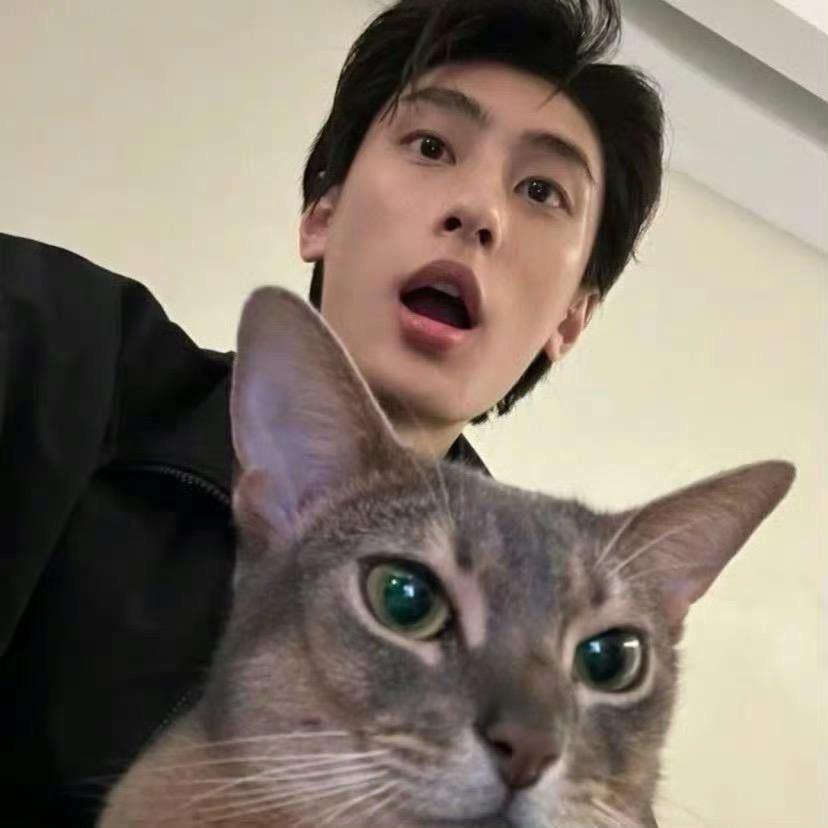 援