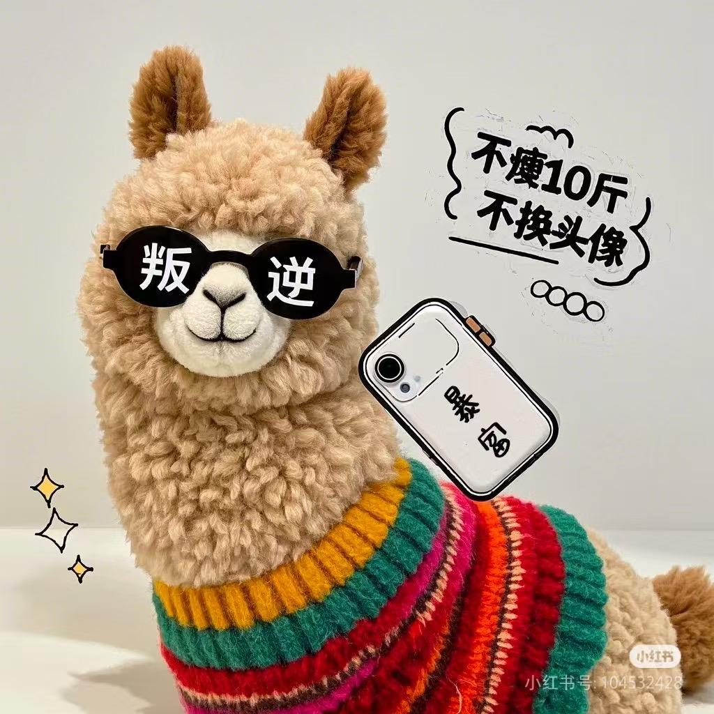 迈得开腿的女人👩