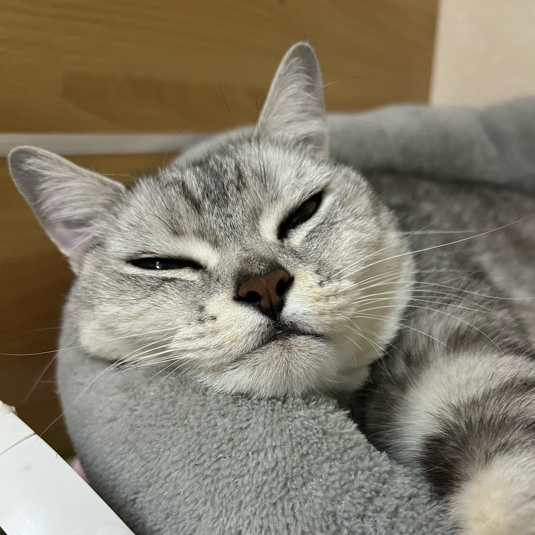 是阿文不是阿雯