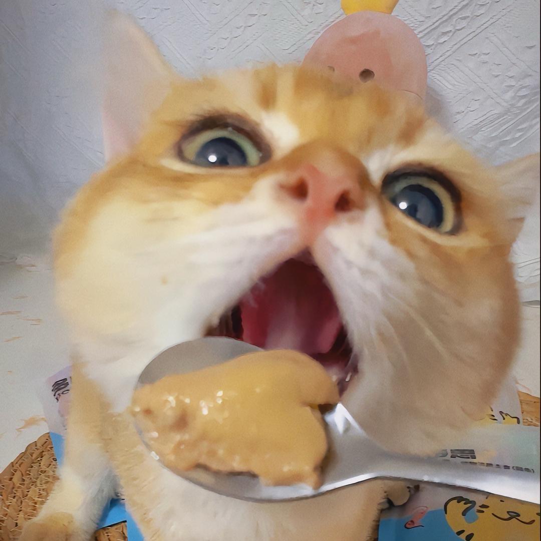 大福小喵