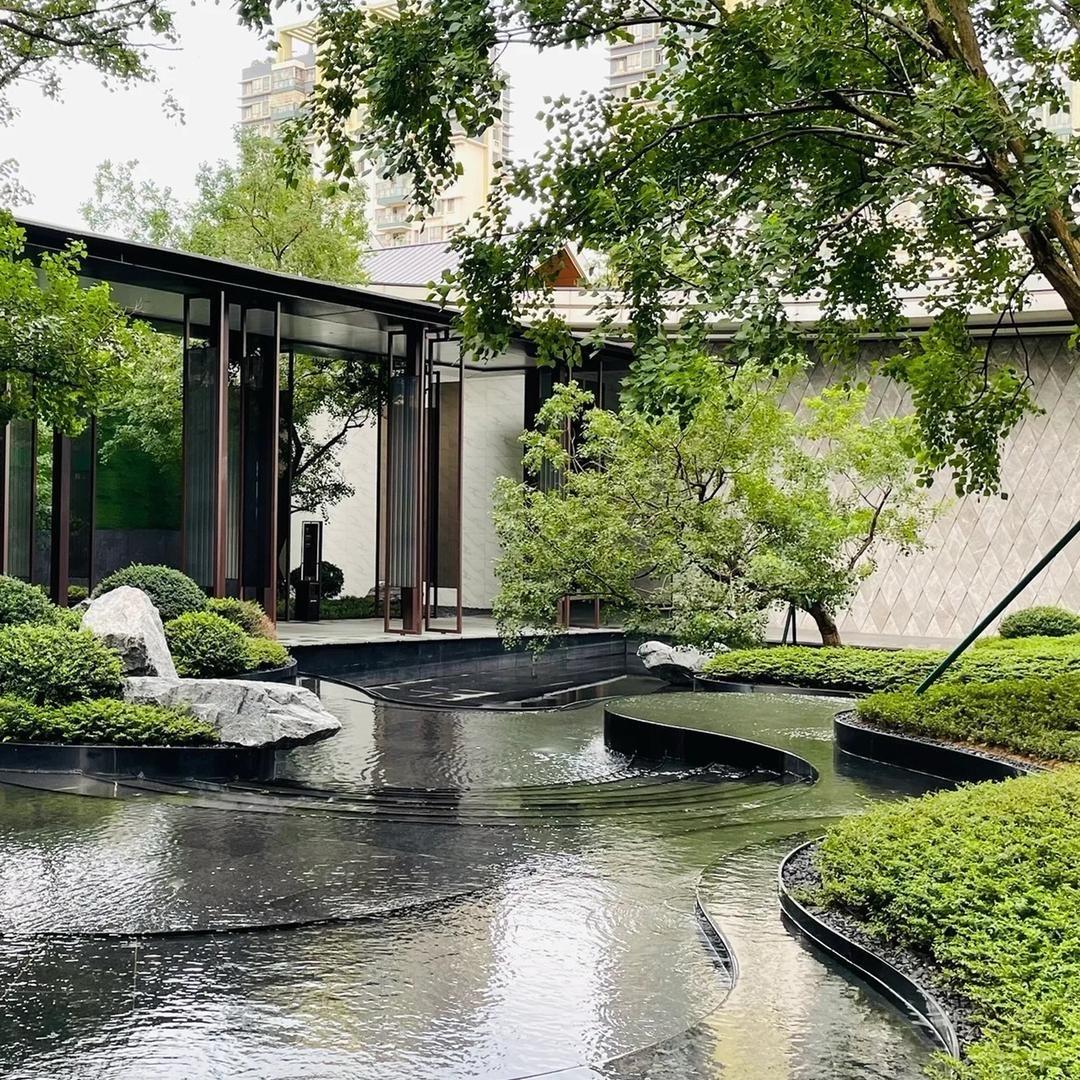 浪迹天涯绿枫叶