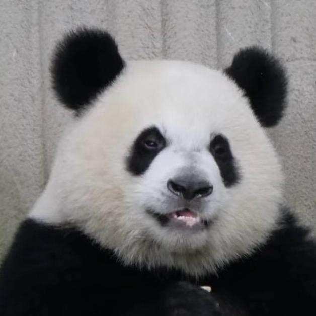 神奇人类观察员