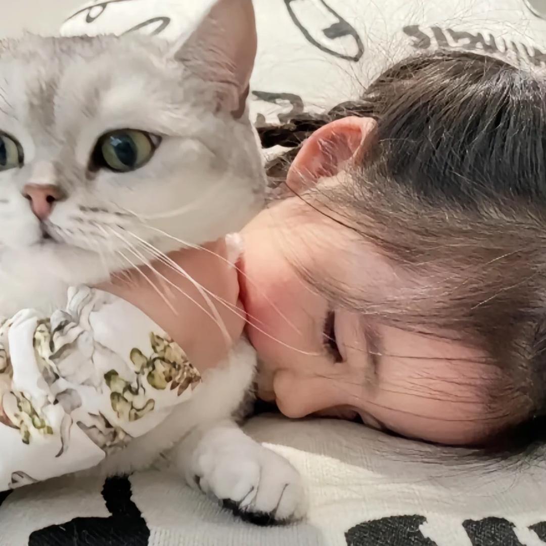 是煤泥（不是美女）