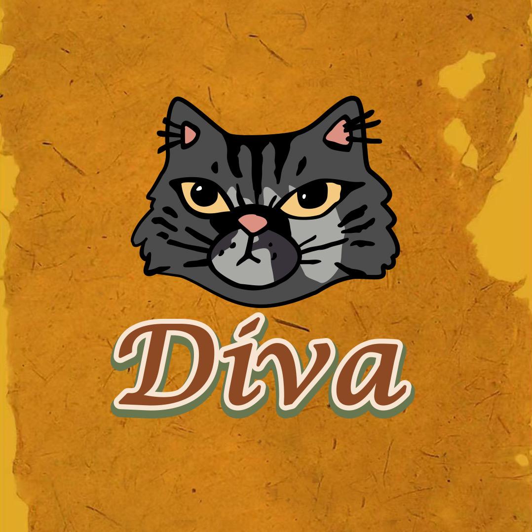 DIVA潮玩