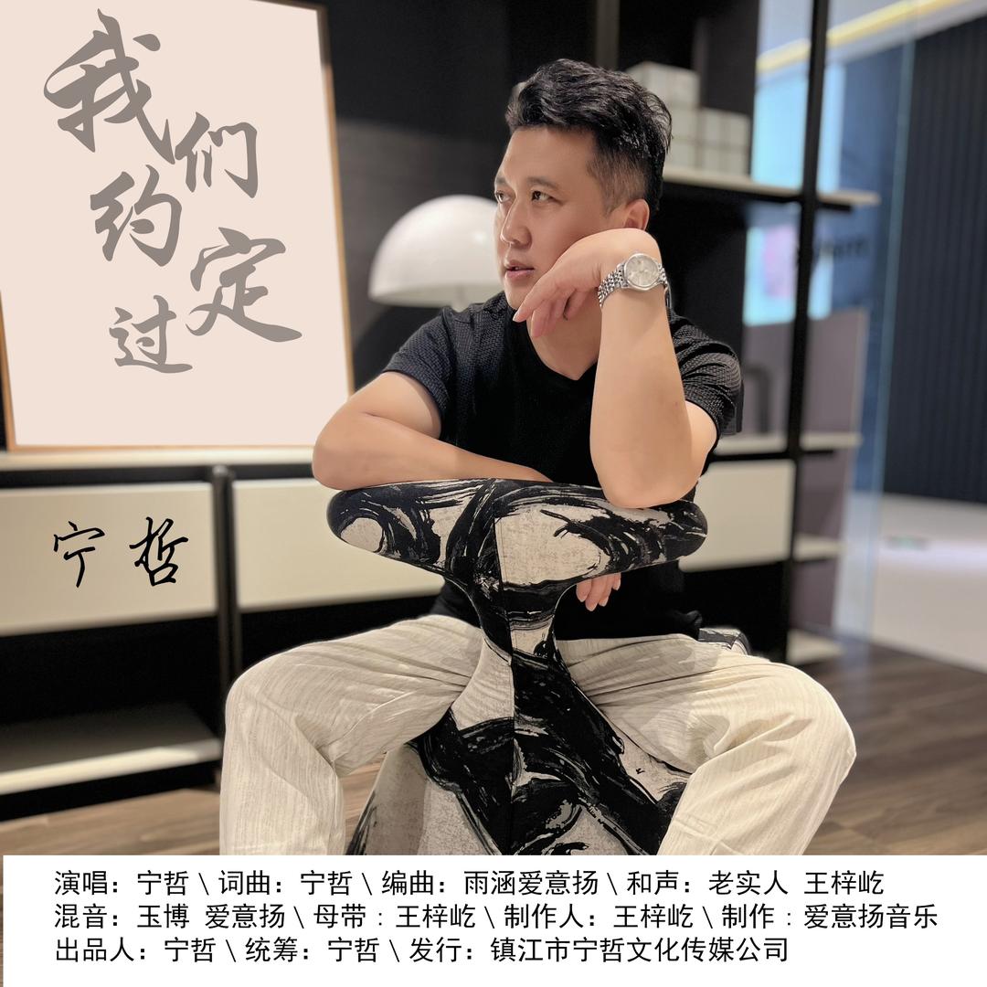 宁哲文化-新歌《孤雁向南飞》