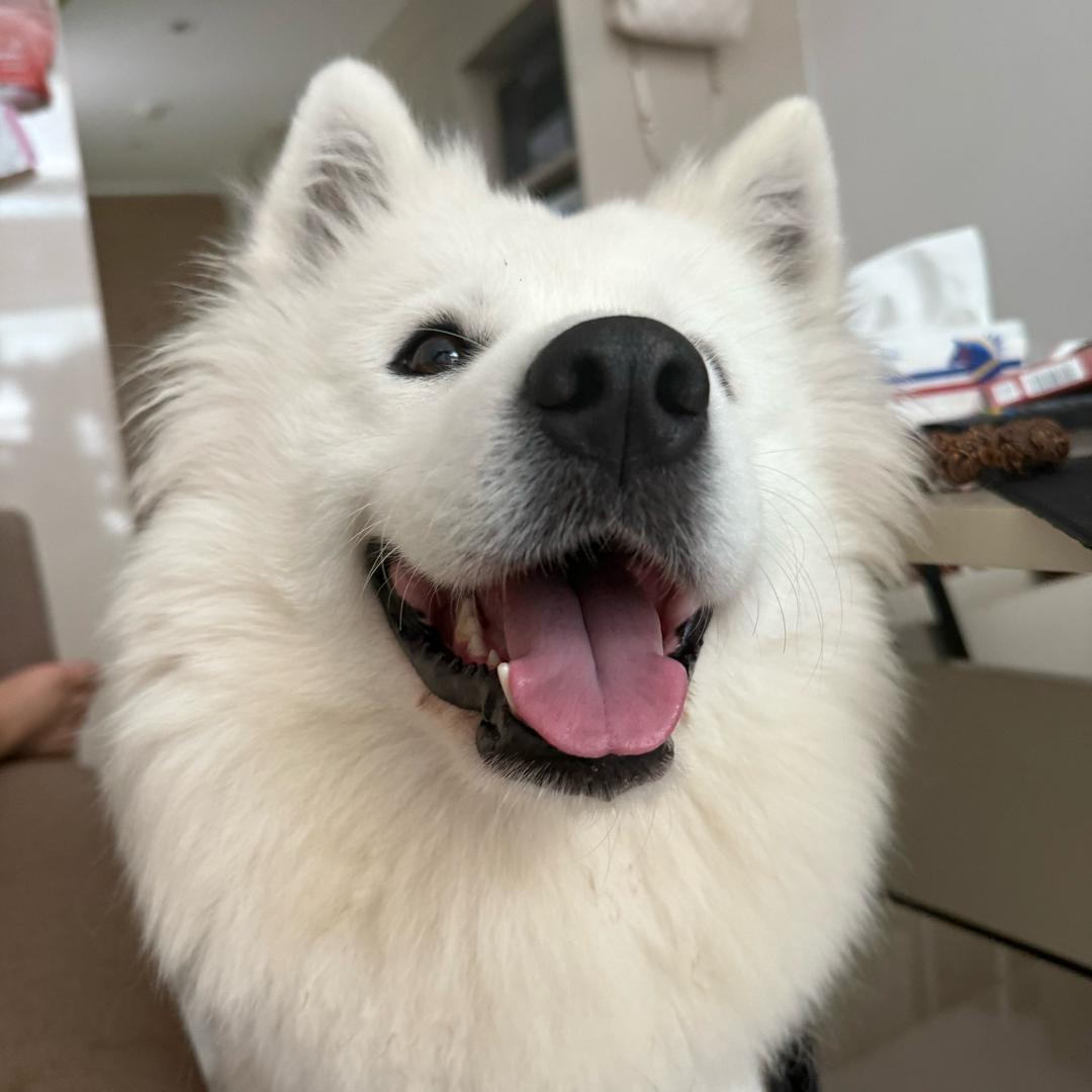 叫我笨笨妈