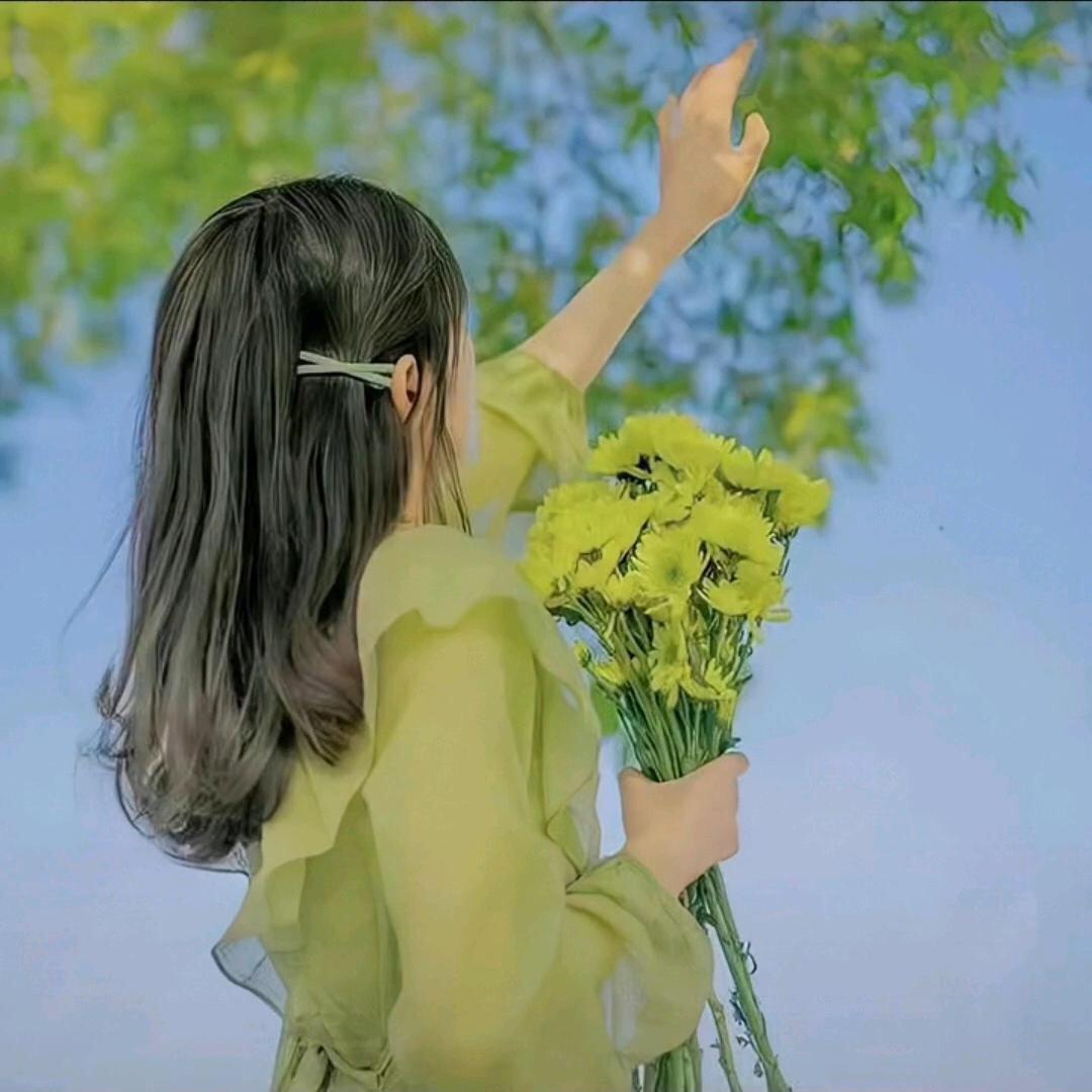 秋叶起舞