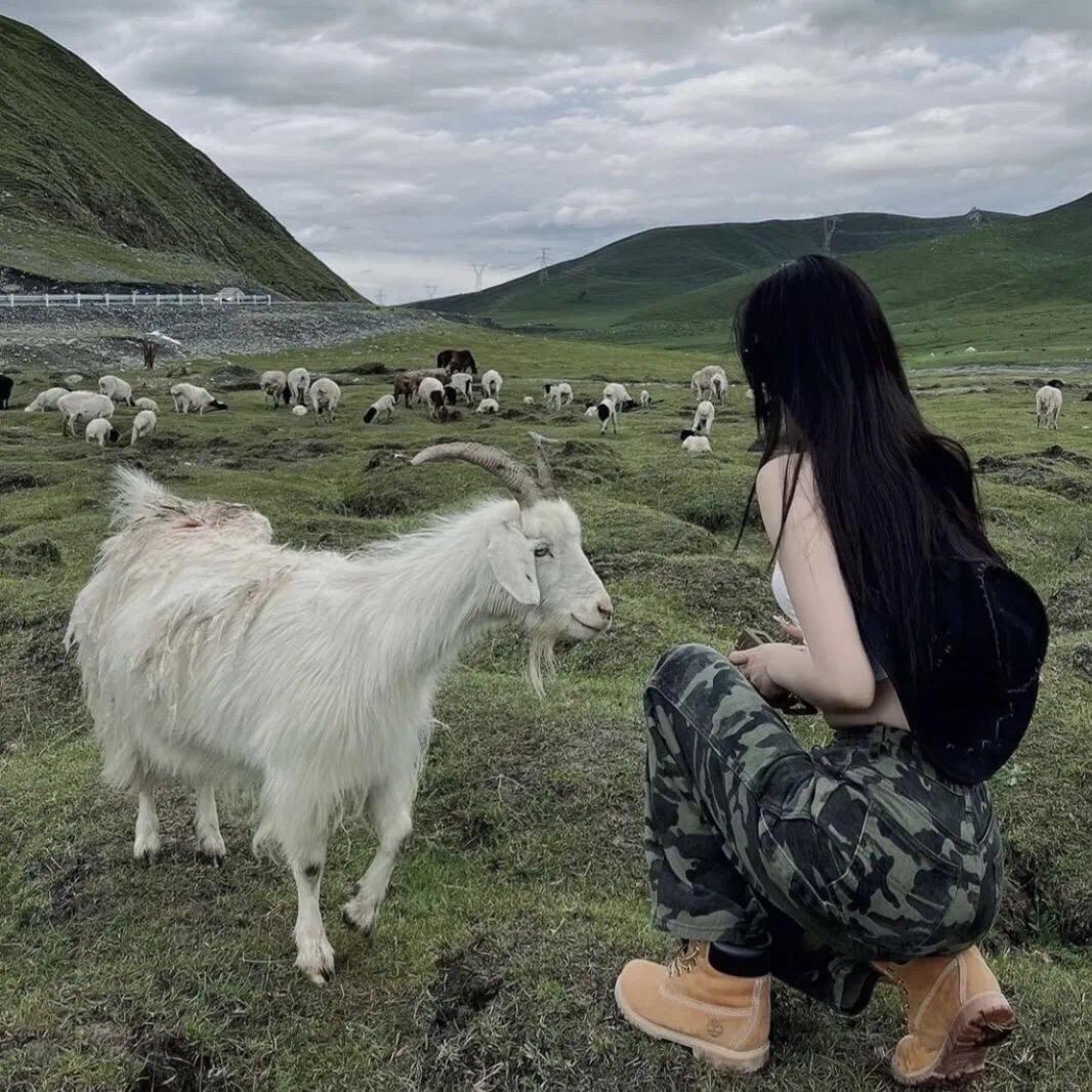 瘦瘦好饿