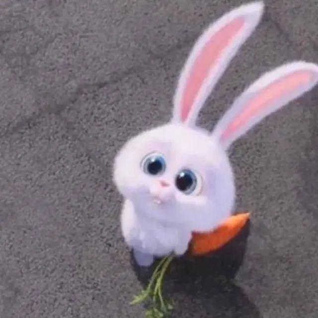 🐽。