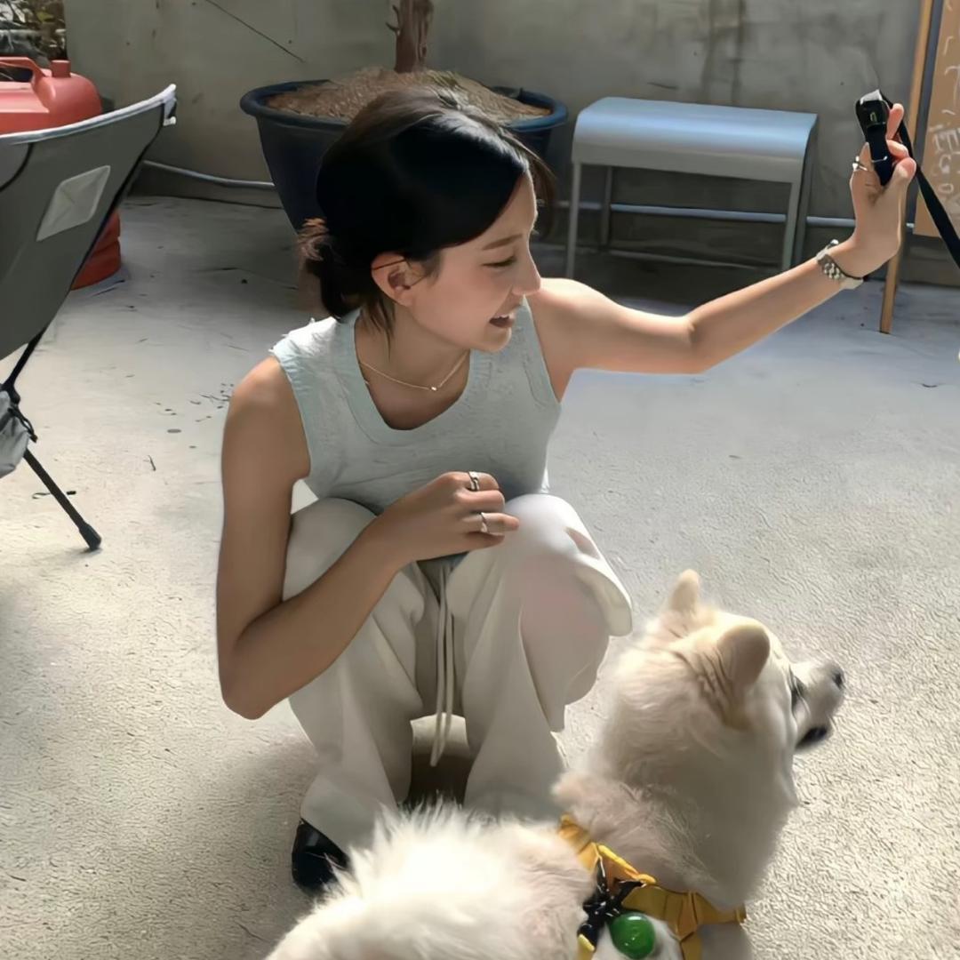 温柔艺💫