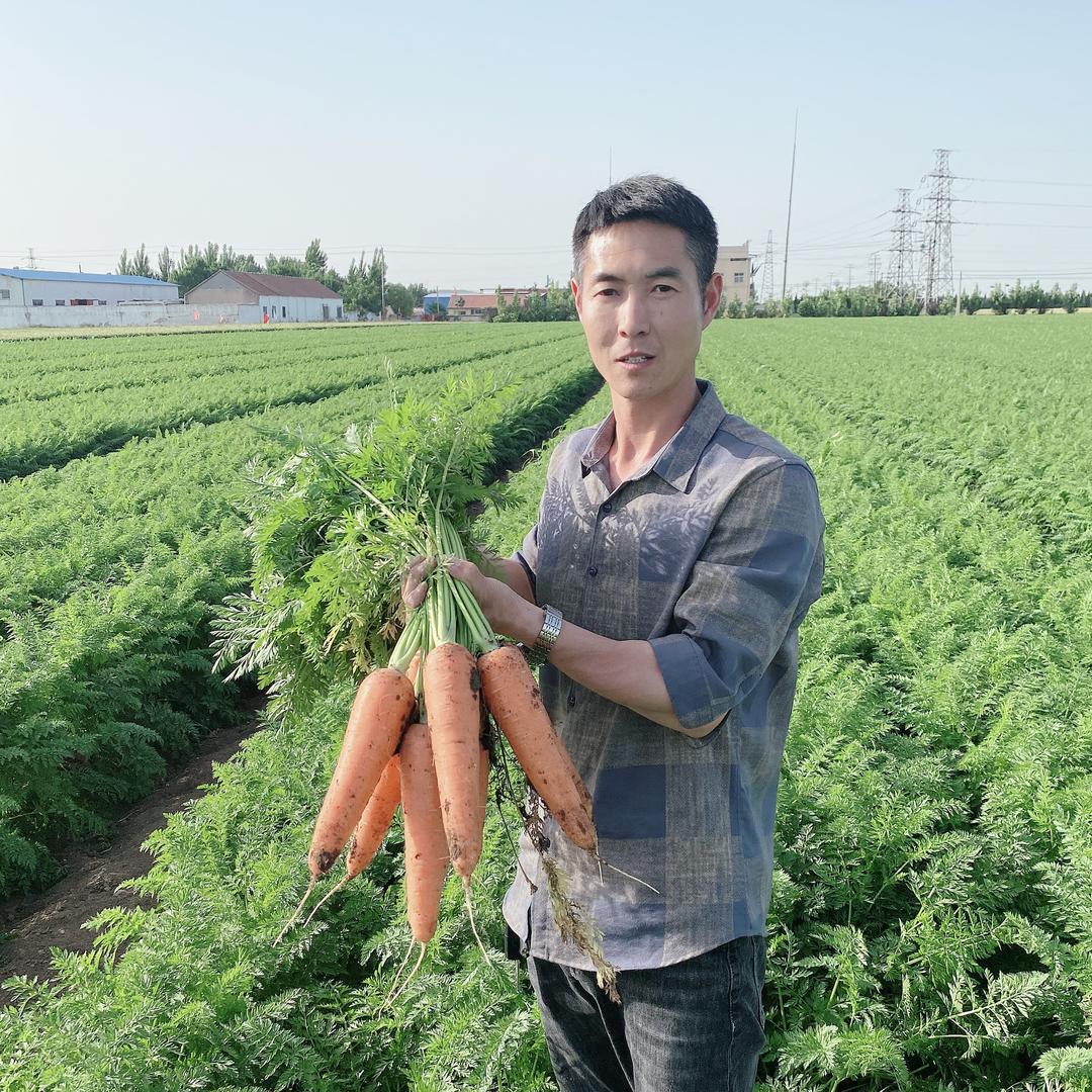 青州市天和种业