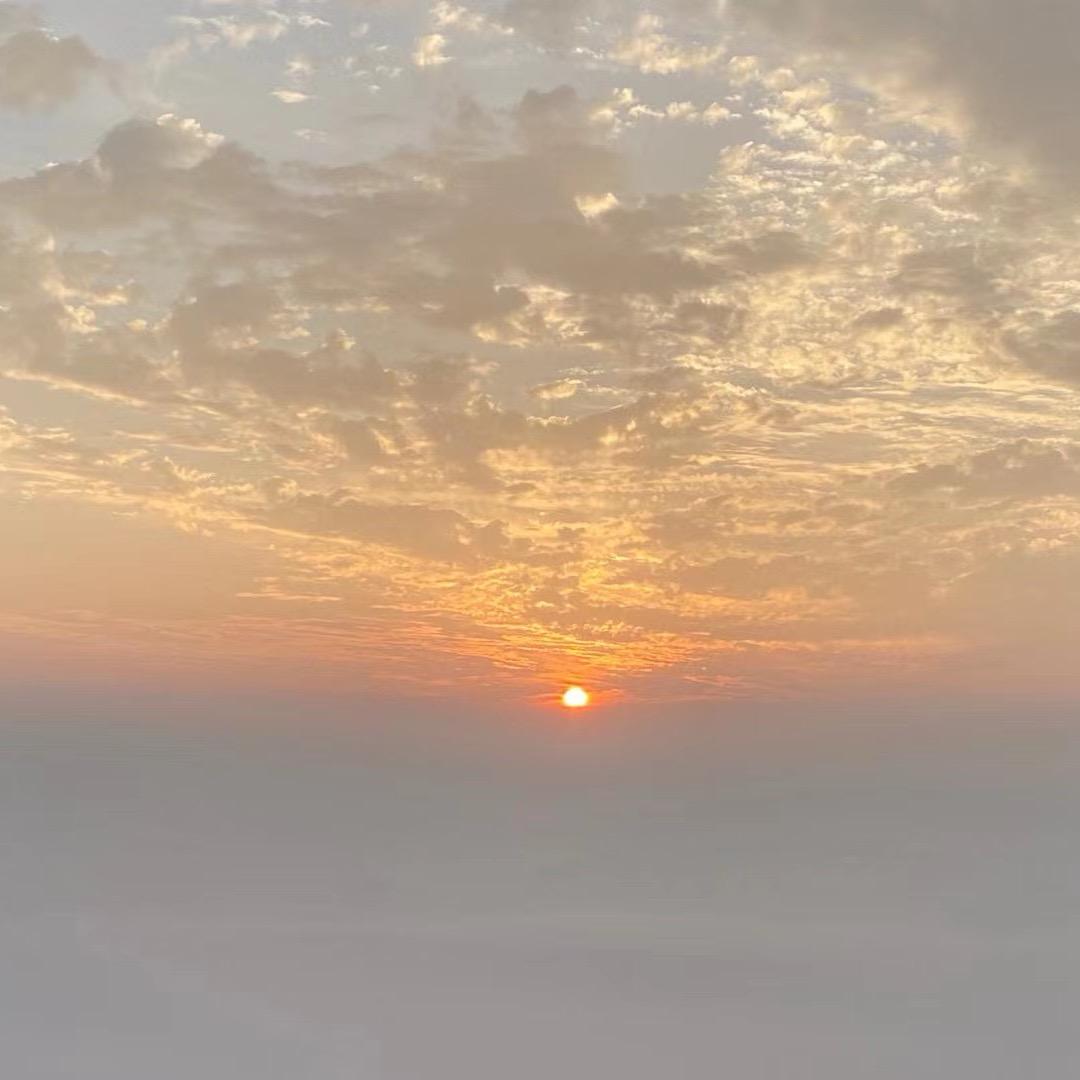 农产品生鲜供应链