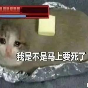 屌丝一号