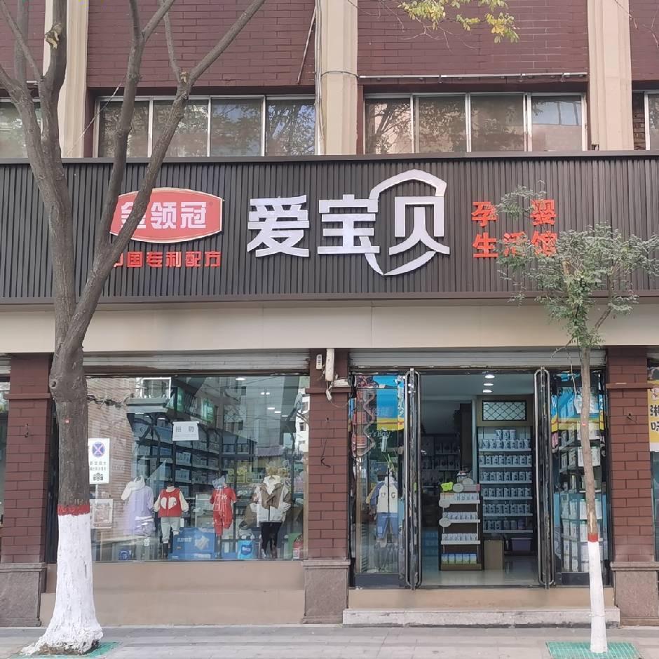 临县爱宝贝武东梅