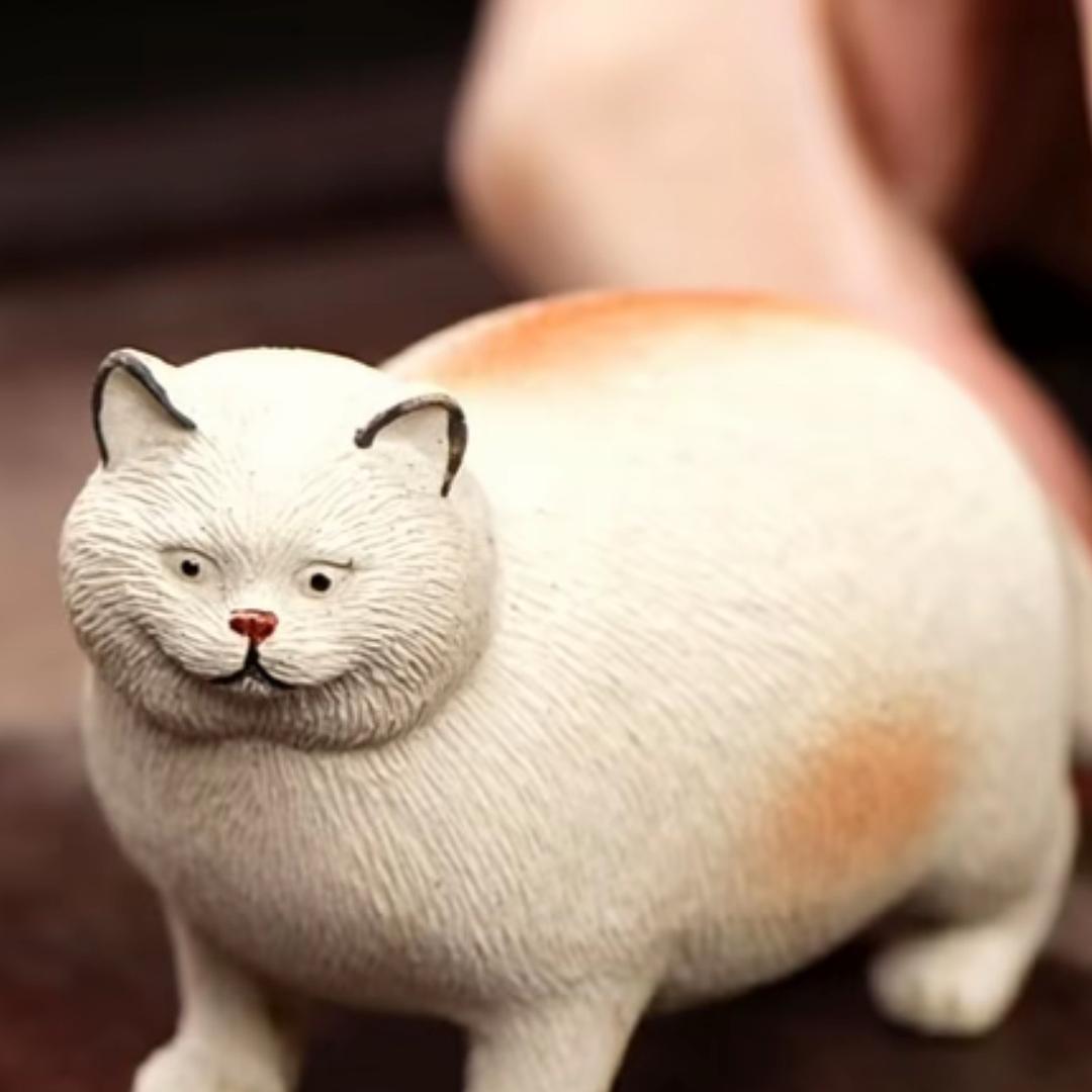 bubu不会忘了吧