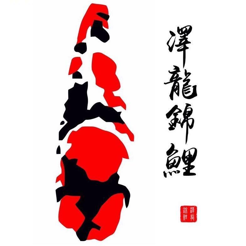 泽龙锦鲤