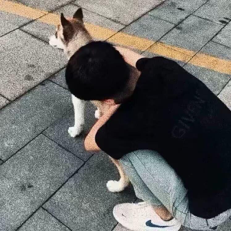 睡不完的觉.